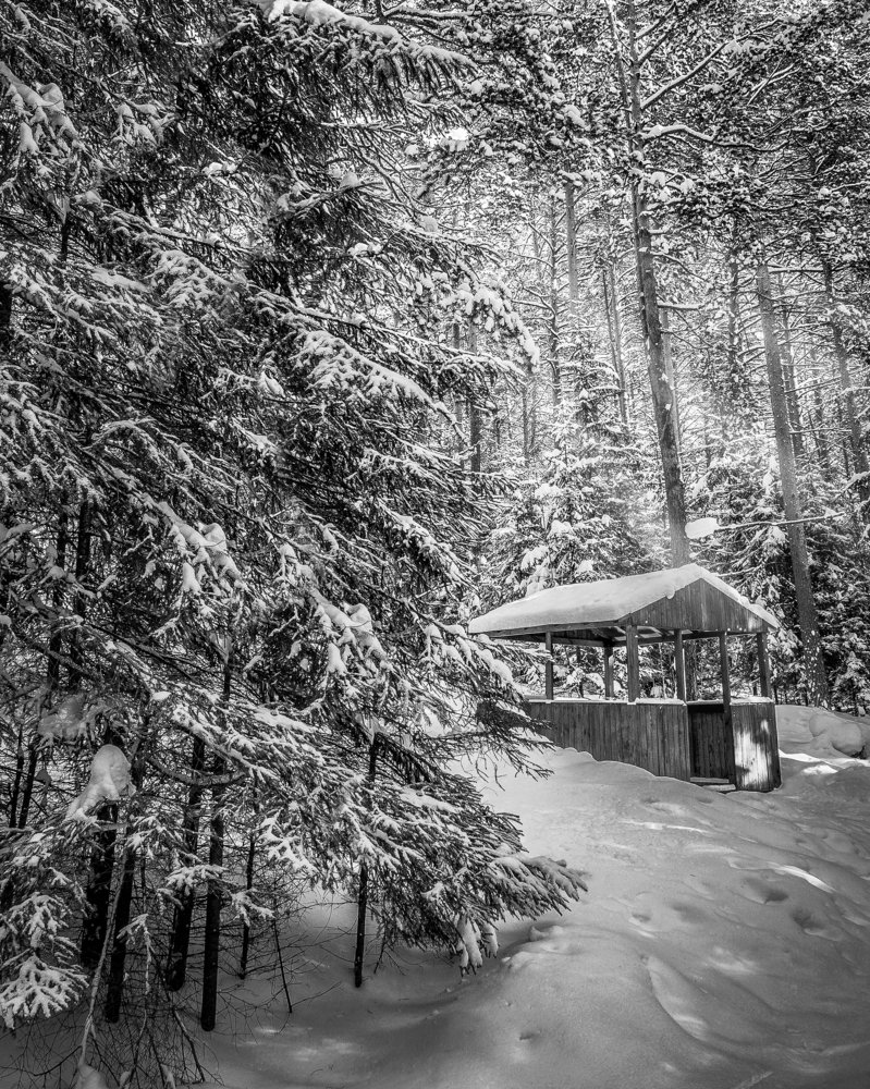 Домик в лесу