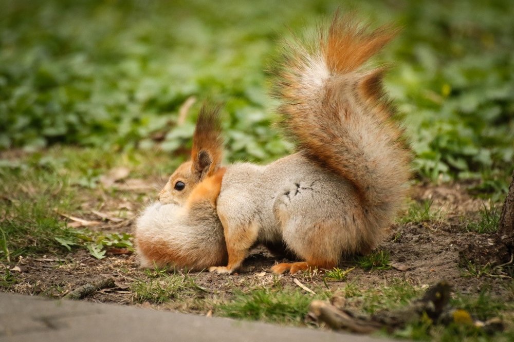 Переезд с новый дом