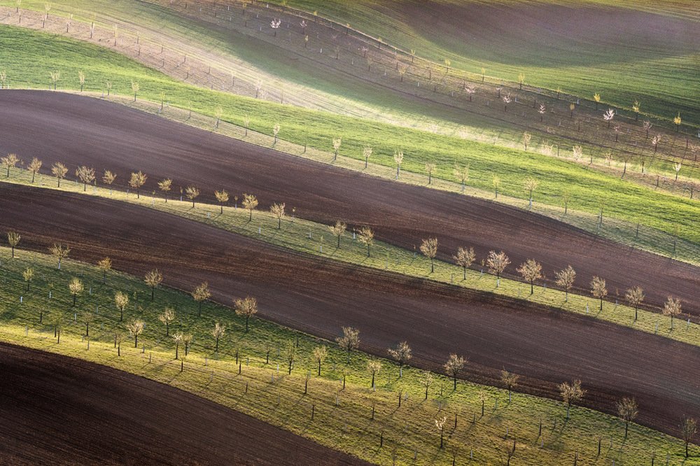 Ожерелье Моравских полей