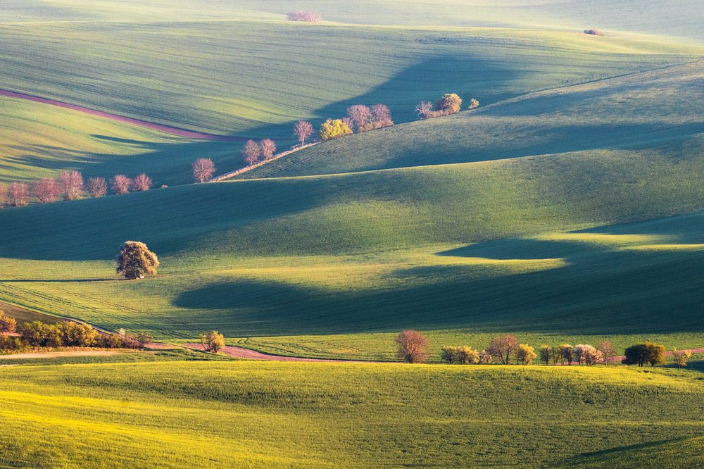 Photograph by Крицак Ольга