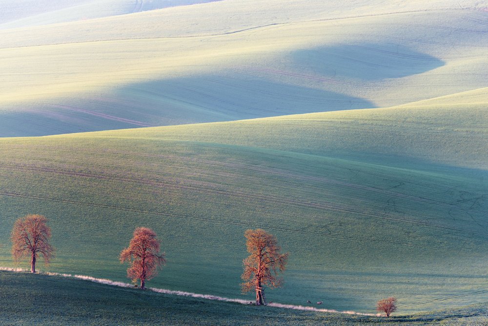 Photograph by Крицак Ольга