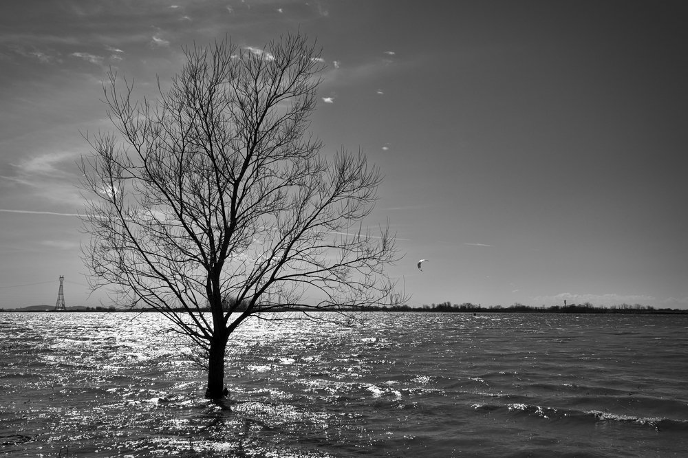 Photograph by Eric Dupuis