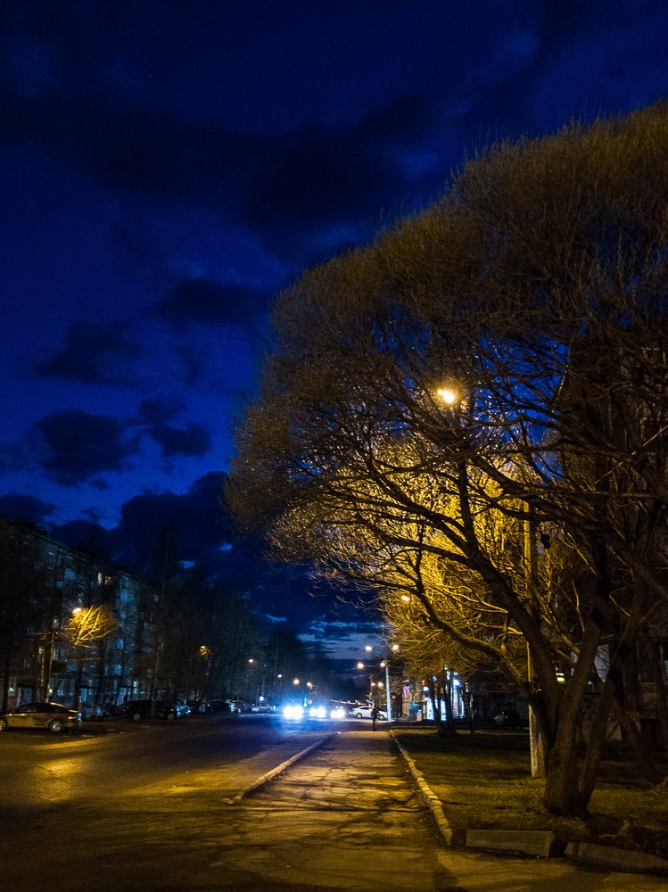 Кустарник, улица, фонарь....