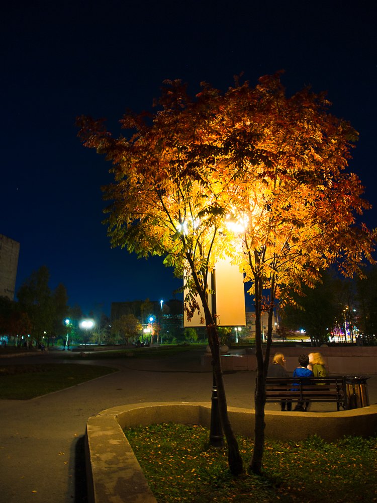 Сказка где то рядом