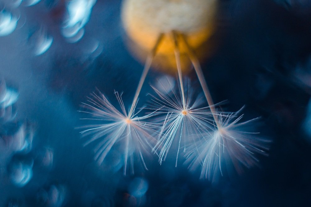 Цветное вдохновение