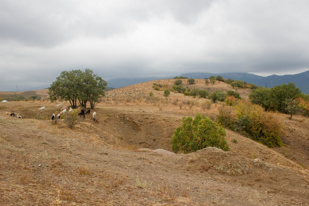 Photograph by Екатерина Аграфенина