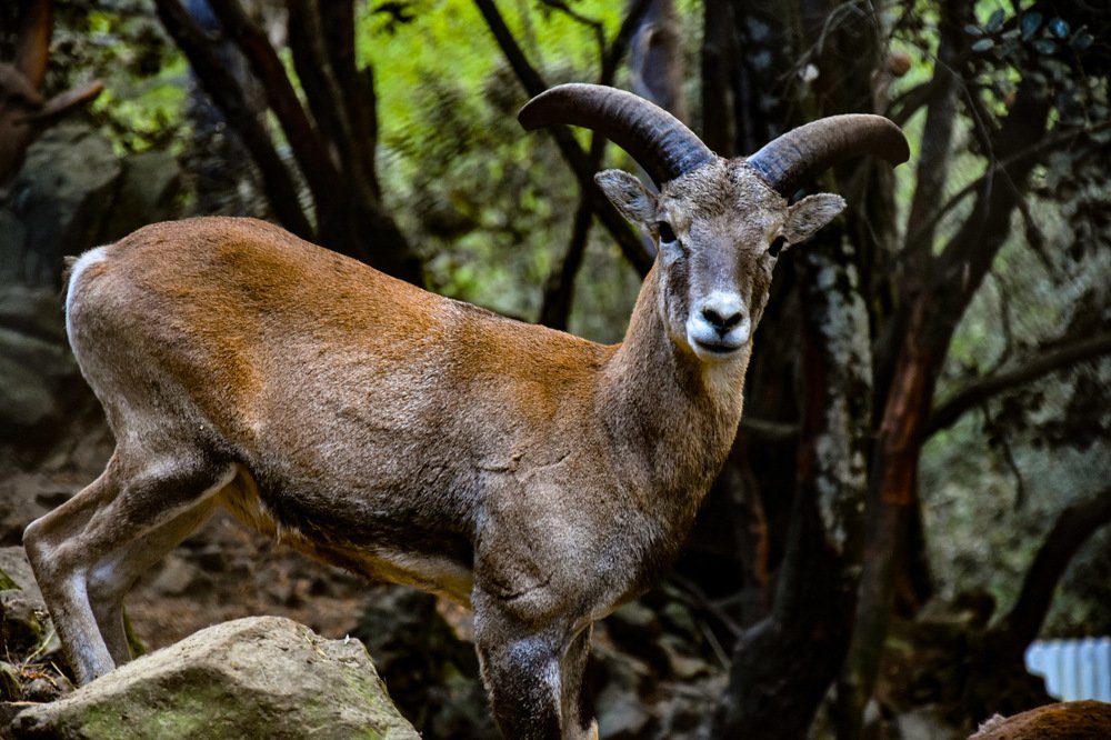 Photograph by Petros