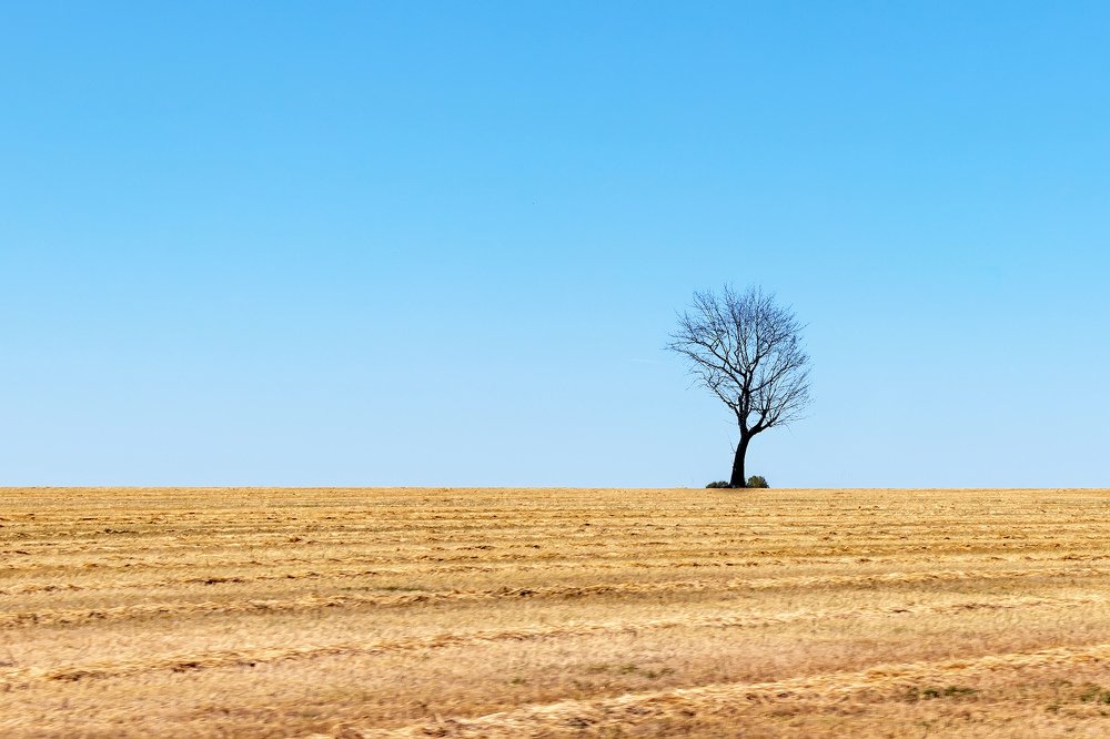 Один в поле