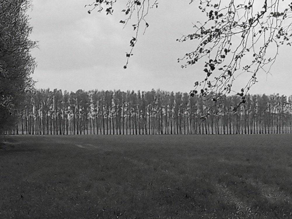 Форте пиано