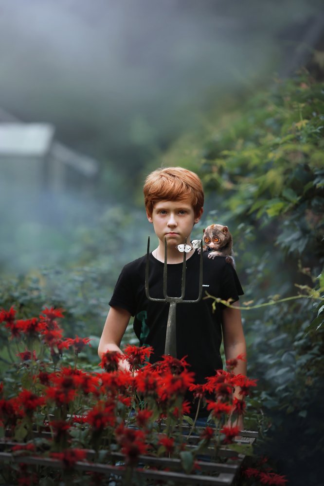 Любопытство и Уверенность