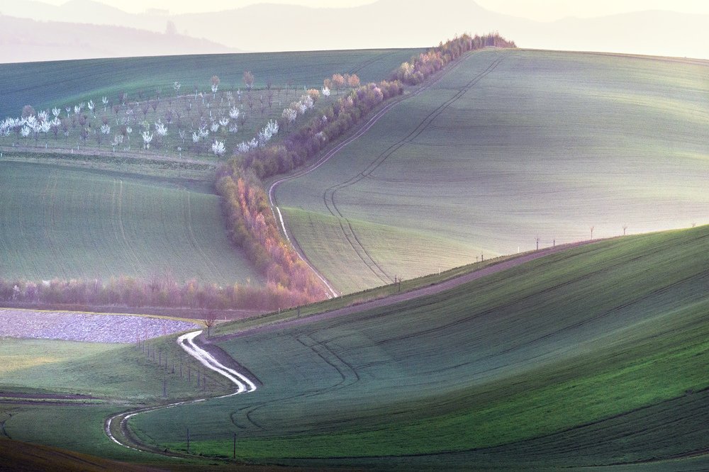 Photograph by Крицак Ольга