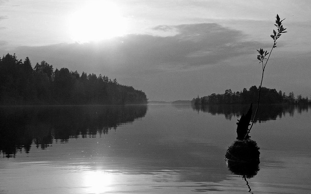 Белая ночь на Хийтоланярви.../ White night, Hiitolanjärvi