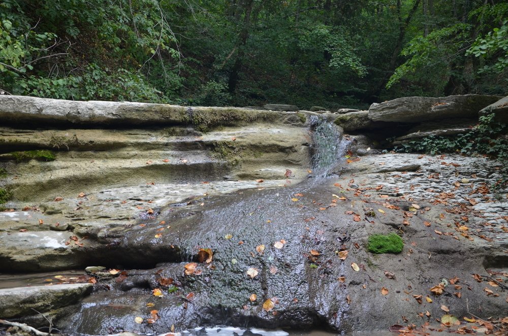 Photograph by Наталья Иванкова