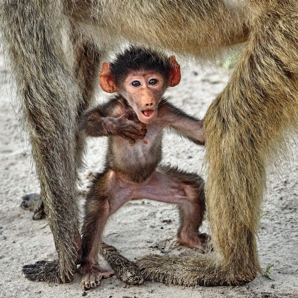 Я красавчик?