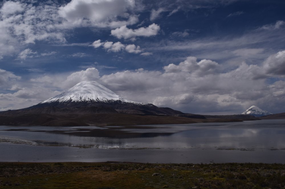 Sajama