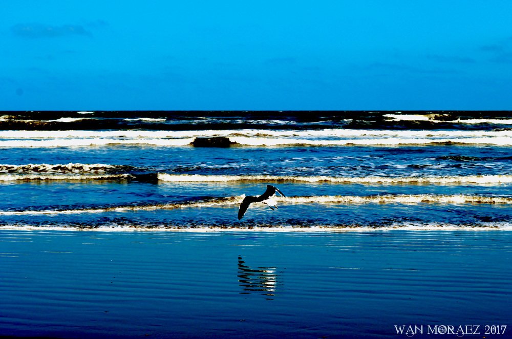 Photograph by Wan Moraez