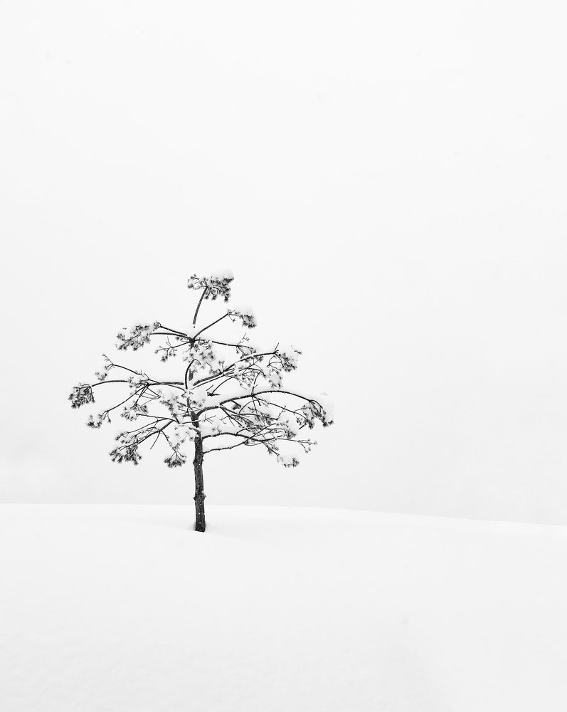 Photograph by Диана Нигматова