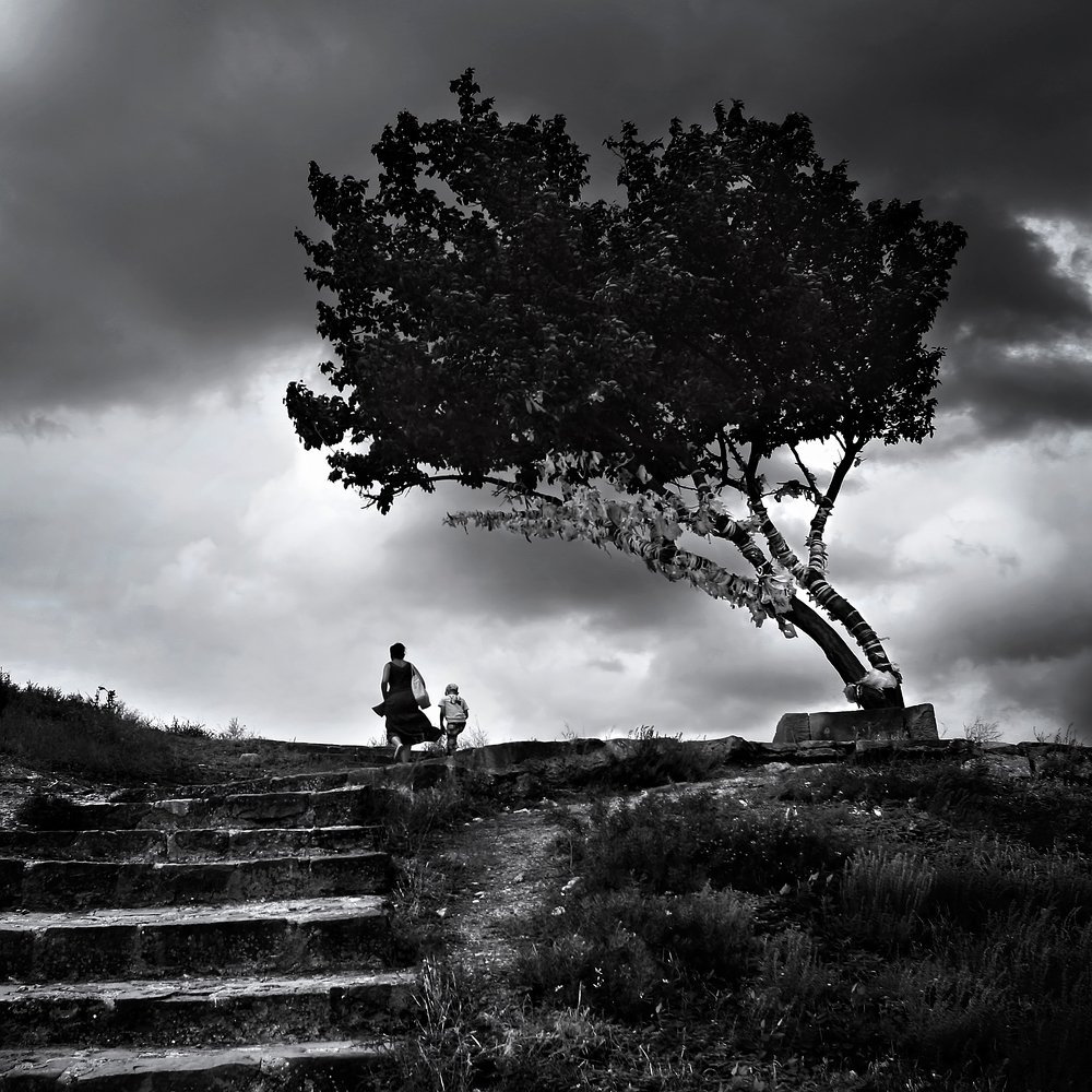 Дерево желаний