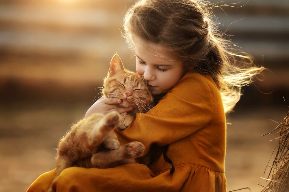 Фотография автора Журавель Саша