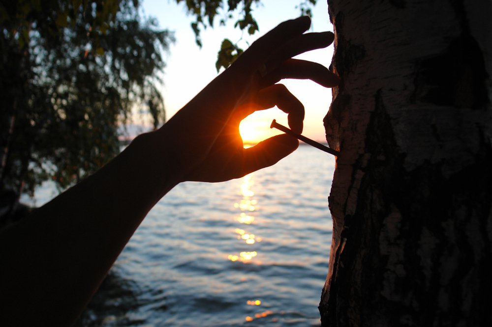 Светить – и никаких гвоздей