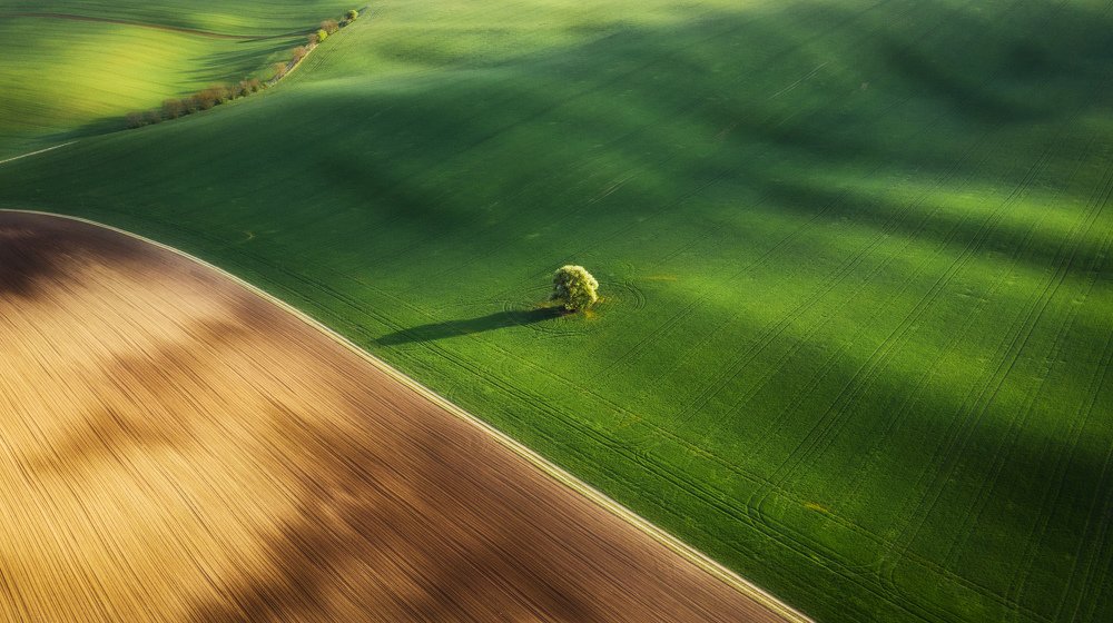 Moravian abstraction