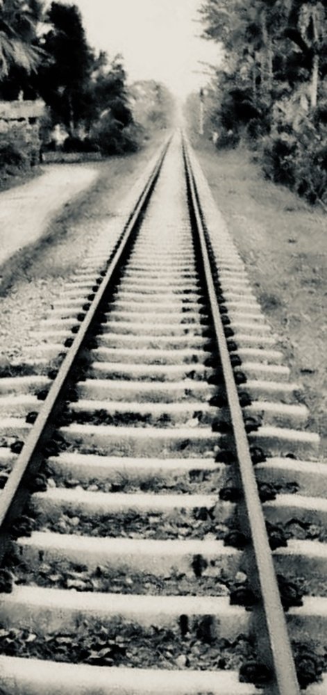 Long road towards home