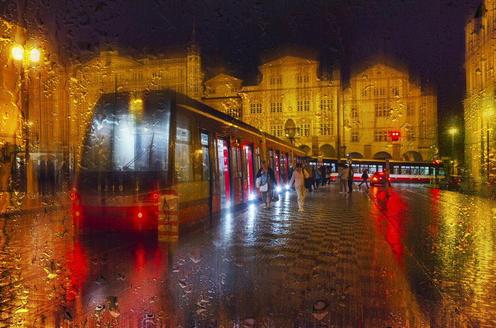 Фотография автора Майя Афзаал