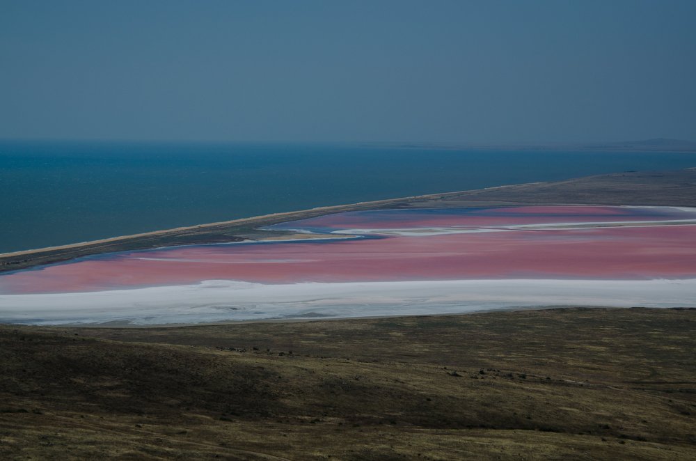Полосатый мир