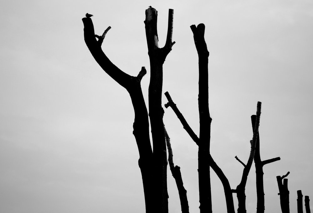 Небо как основа