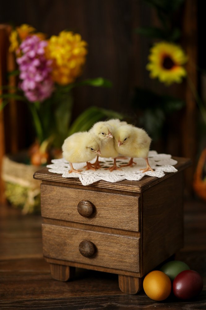 Пасхальная открытка