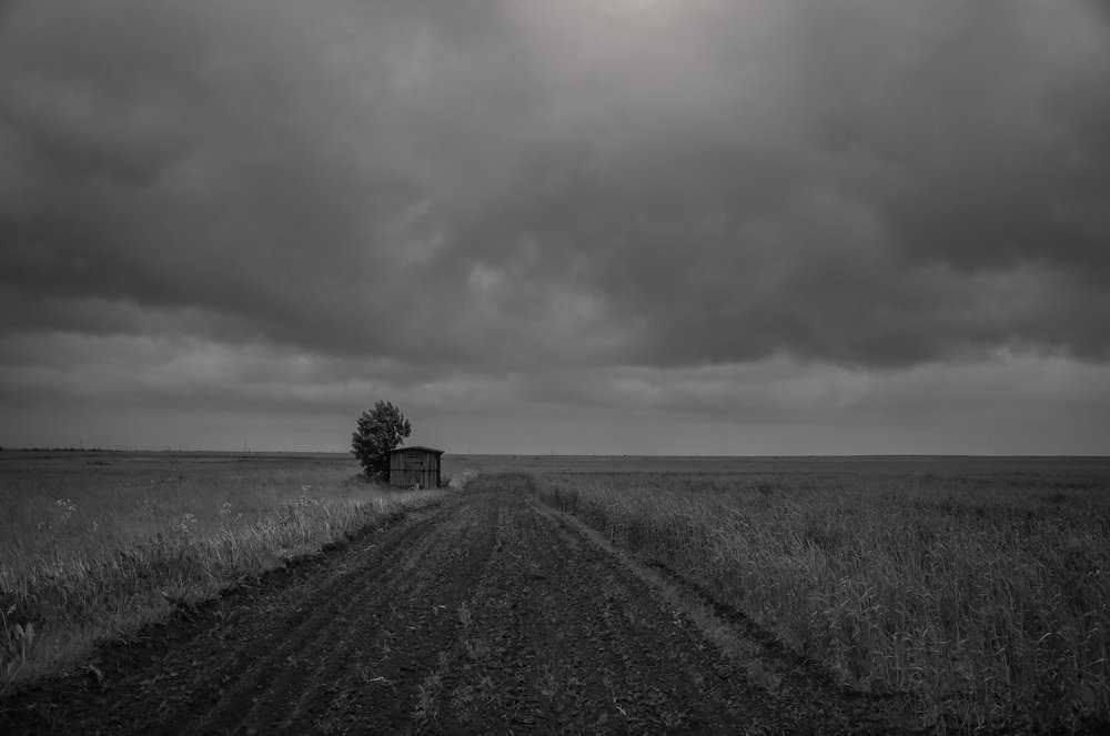 Перед грозой