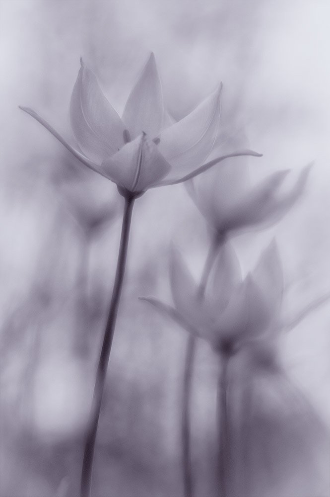 Фотография автора Игорь Баранов