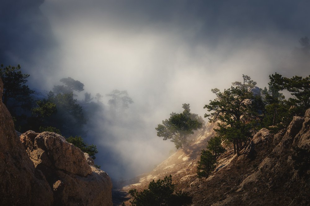 На склонах Ай-Петри