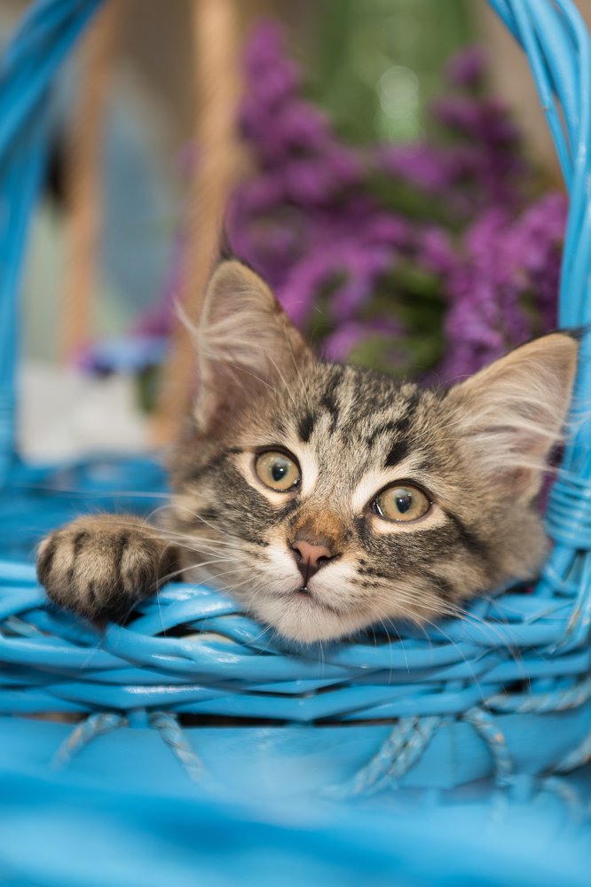 в цветочной мастерской