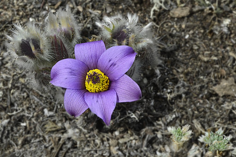 Photograph by Маргарита Фискина