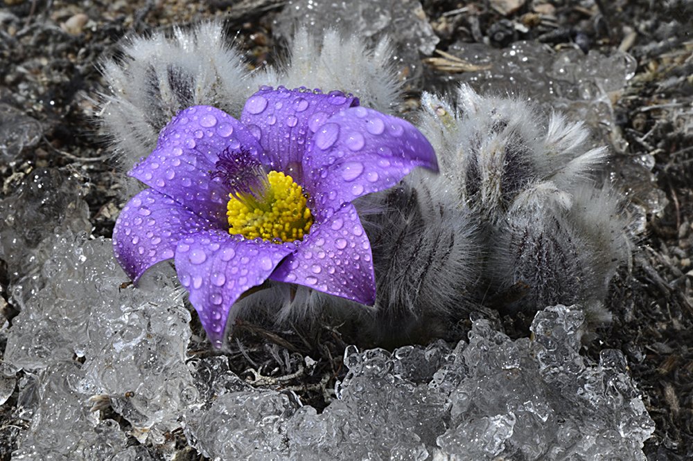 Photograph by Маргарита Фискина