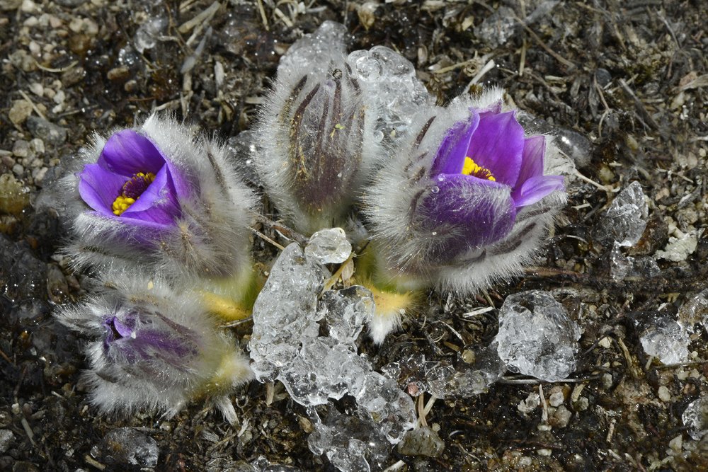 Photograph by Маргарита Фискина