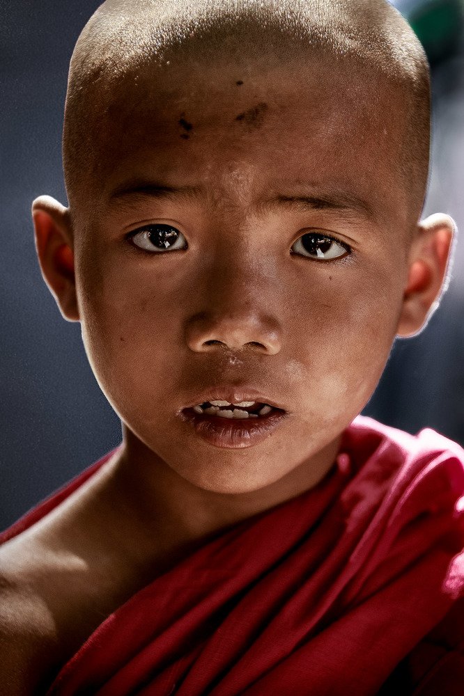 Портрет Бирманского монаха