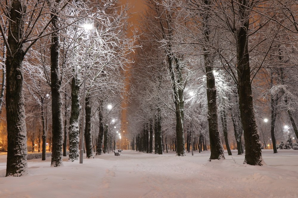 Весна в парке