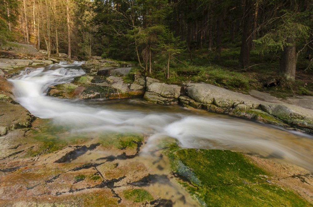 На горной речке.