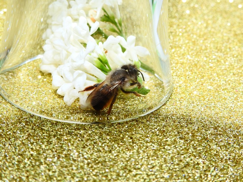 Photograph by Олександр Максимюк