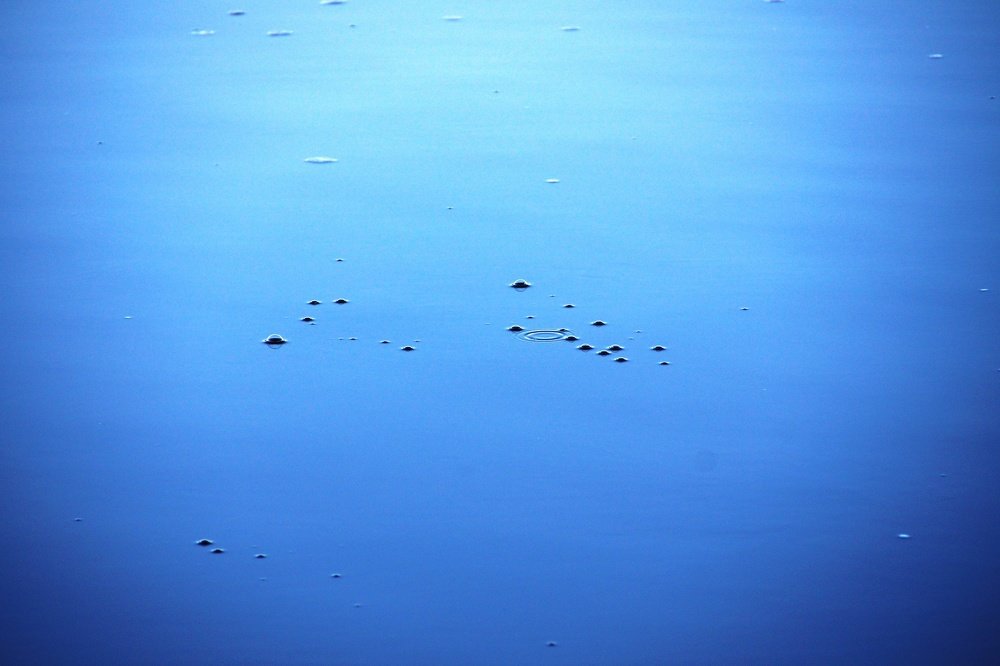 Photograph by Андрей Елькин