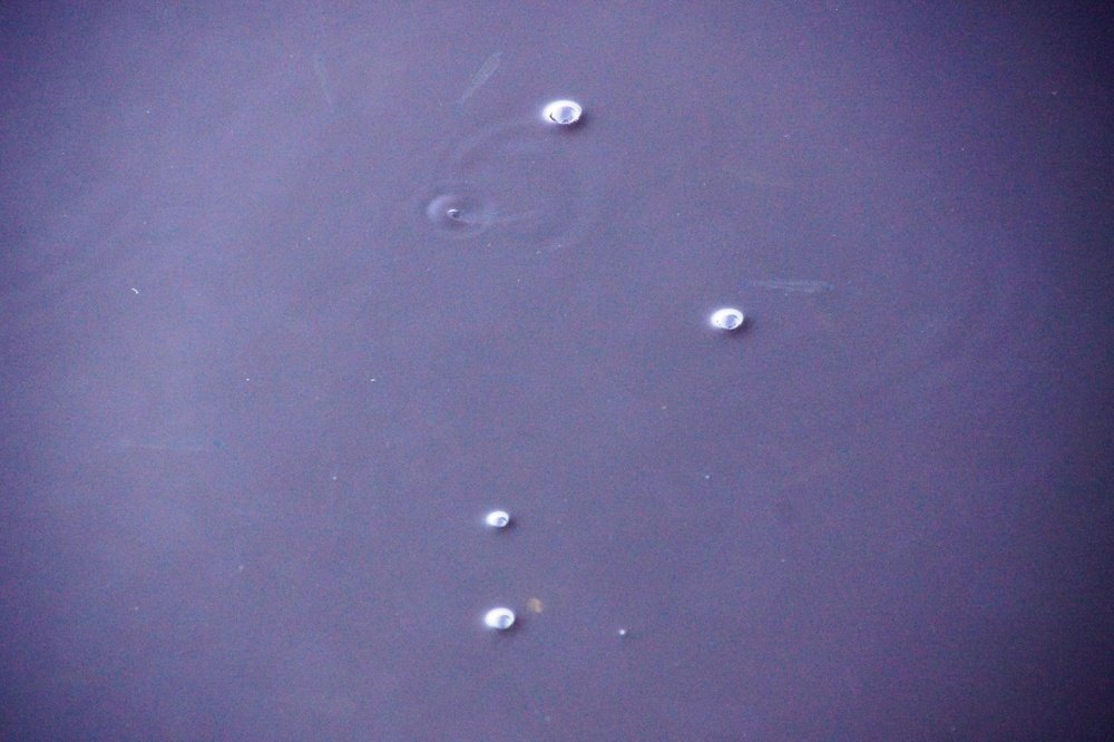 Photograph by Андрей Елькин