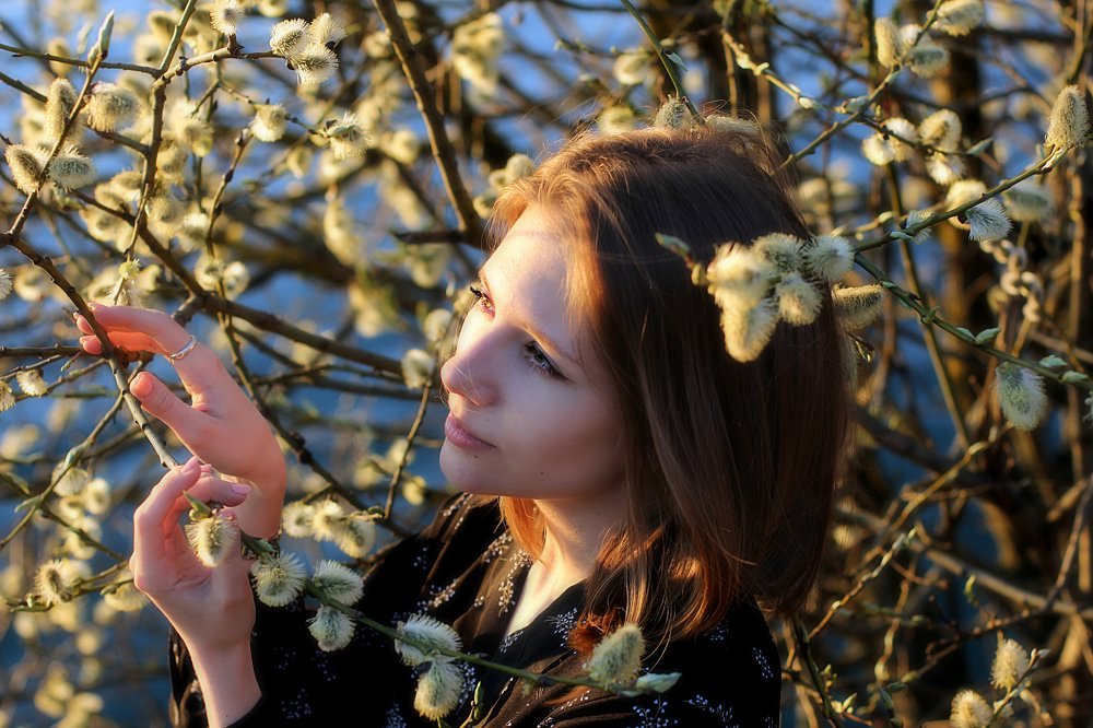 Весна Вероники