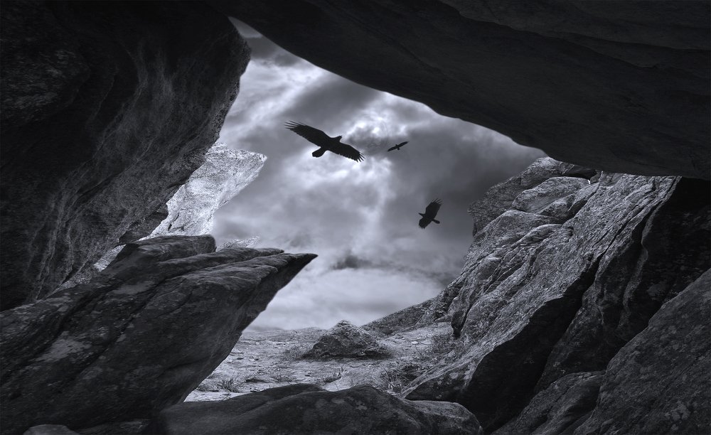 Чёрный ворон..., что ж вьёшься надо мной...