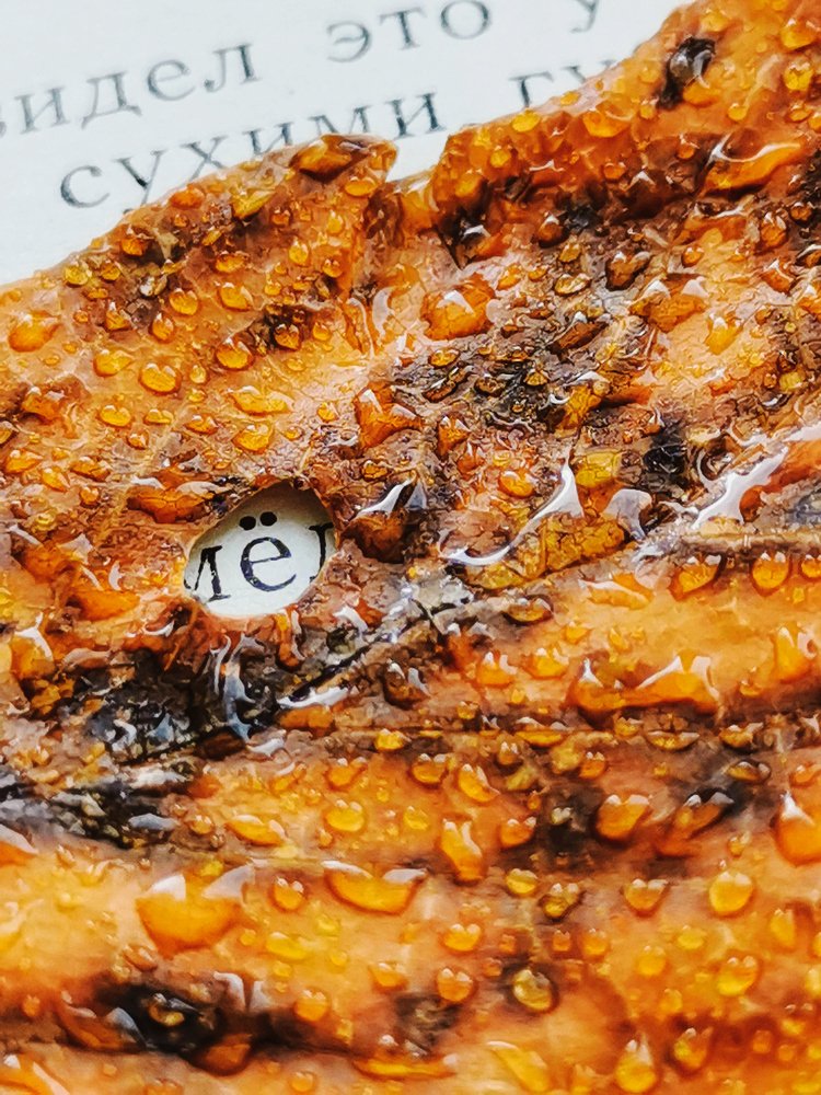 Мёд в медовом листочке