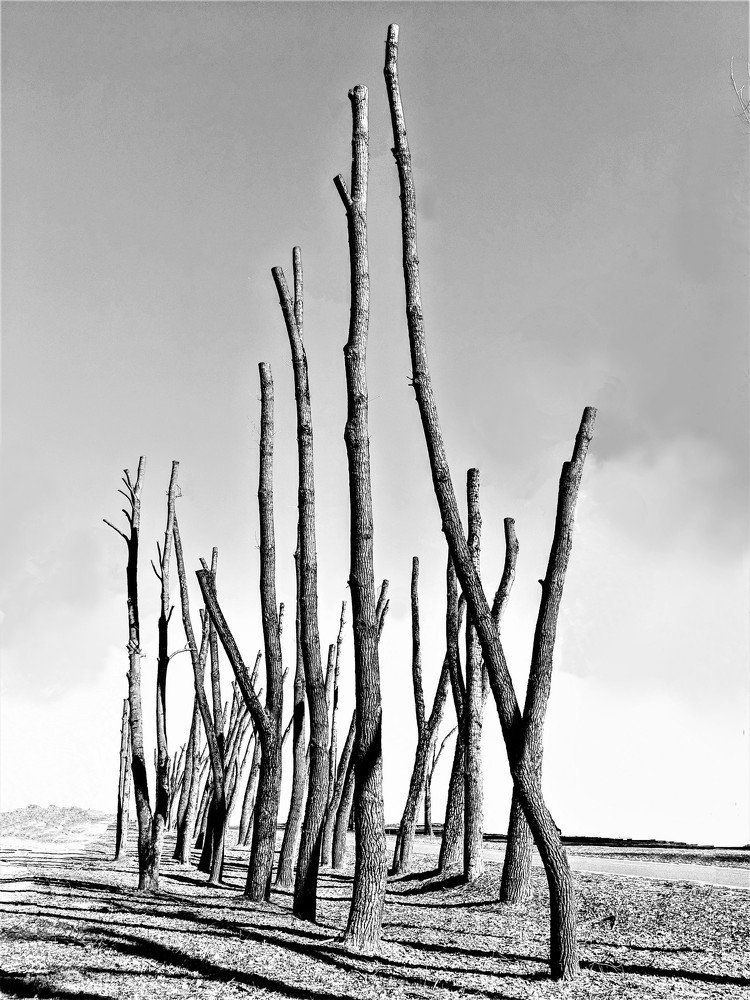 Photograph by Владимир Шнип