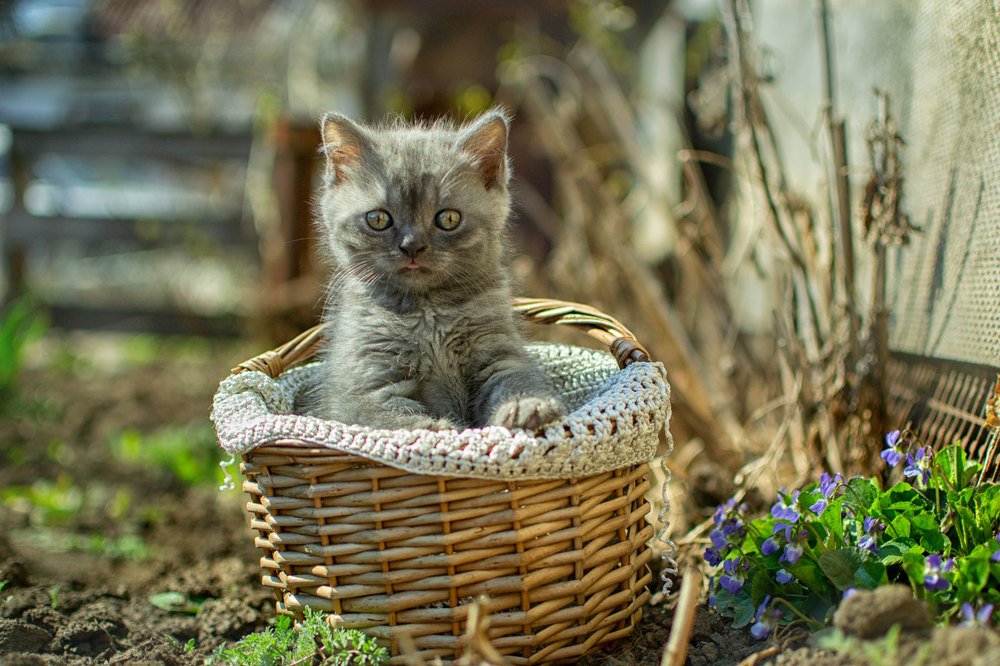 Photograph by Марина Згоник