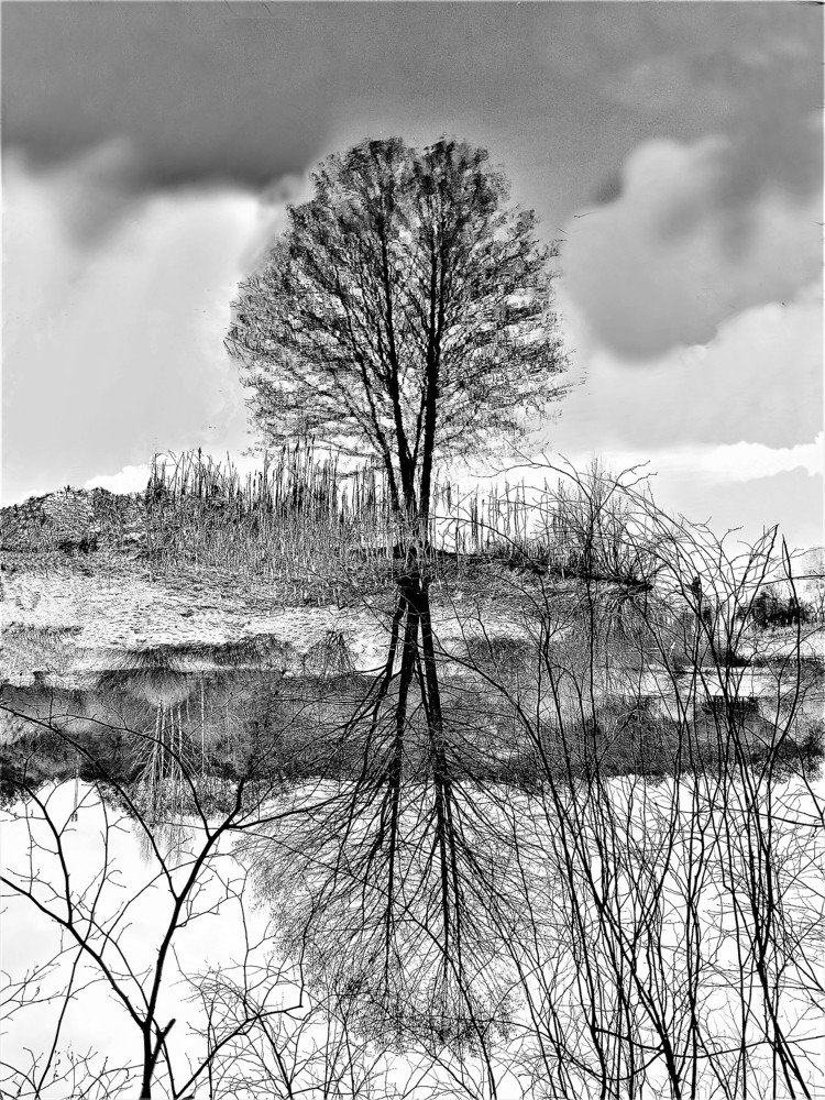 Photograph by Владимир Шнип