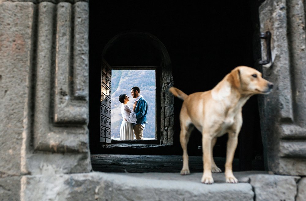 Собака - друг человека